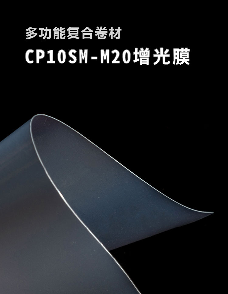 CP10SM-M20����Ĥ_01